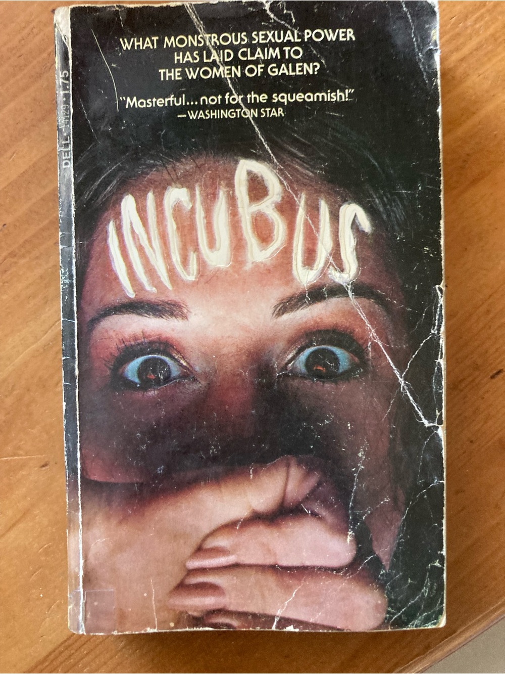 Incubus Paperback Thriller Novel - Bold Cover Art